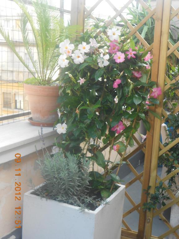 The Loft Hostal Roma Exterior foto